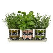 50 Orla-Kiely-3-Herb-Pots,--ú50,-www.cuckooland