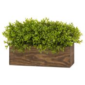 IMAGE-4---Faux-Topiary-Box-www.blossomandbuttercup.co