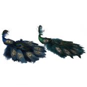 IMAGE-11---Peacock-Decoration-